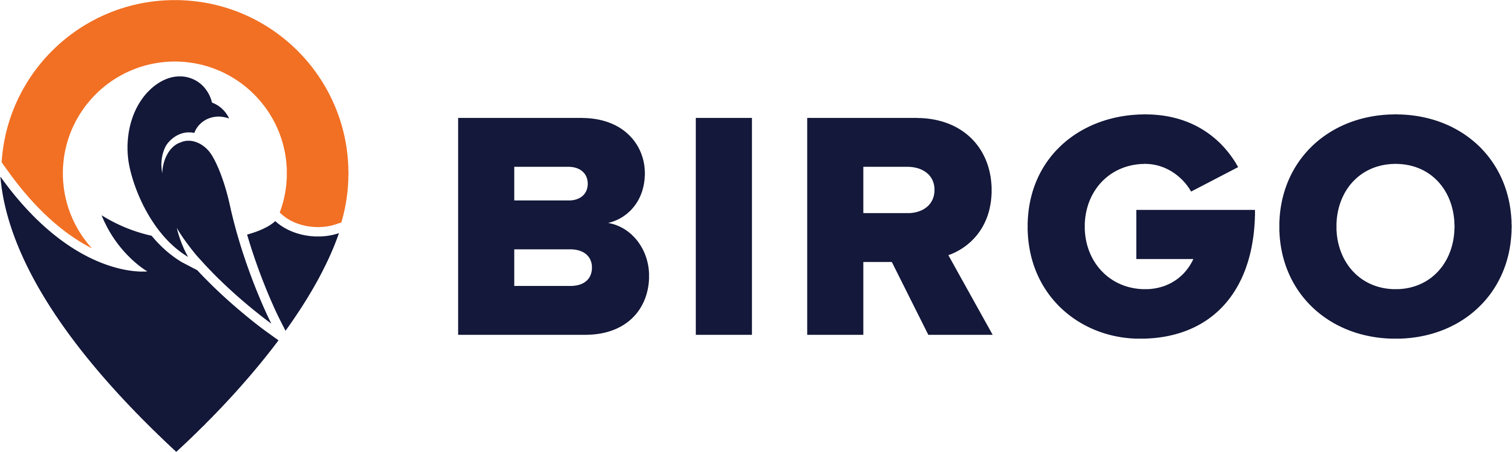 Birgo Realty Logo